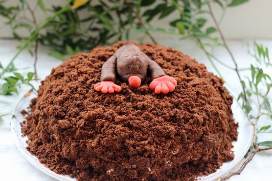 Kochen&Backen Kochen&Backen