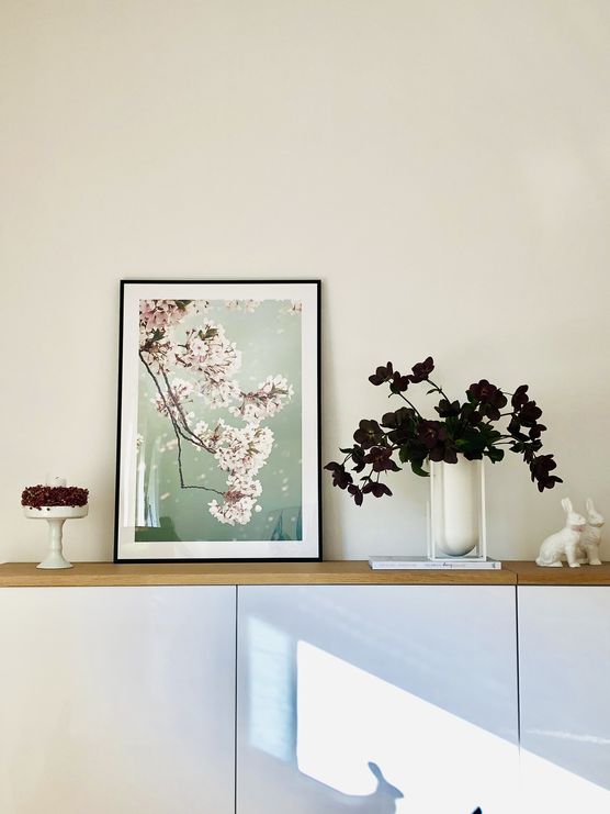 🌸 Frühling auf dem 🌸 Frühling auf dem