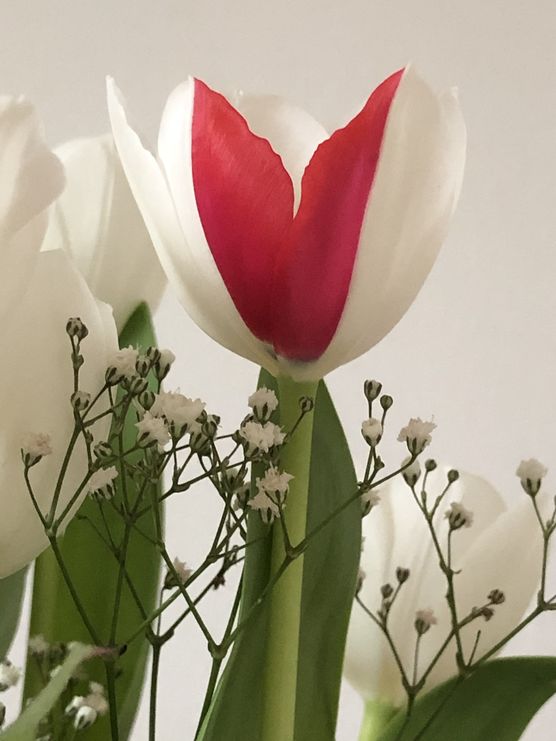 🌷 Mutter Natur ist 🌷 Mutter Natur ist