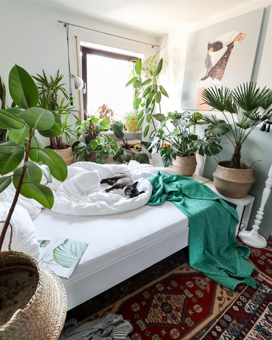 Bild von Munichjungle Bild von Munichjungle