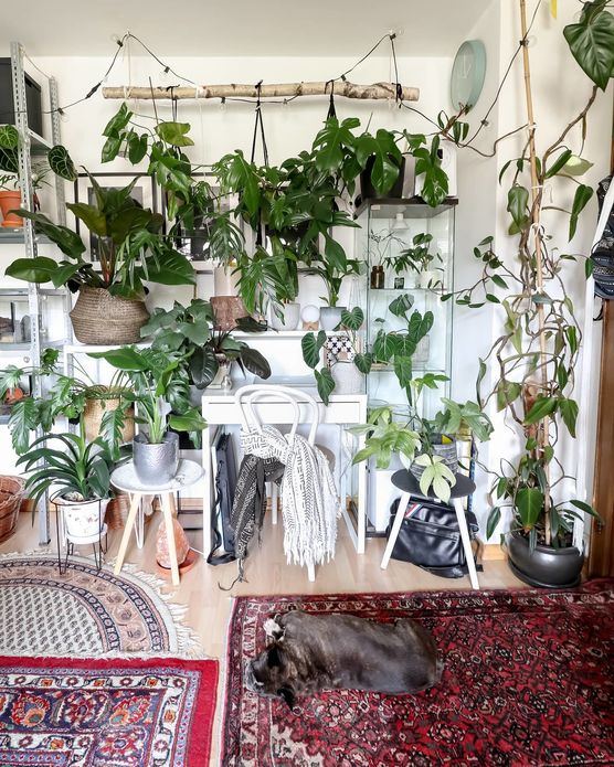 Bild von Munichjungle Bild von Munichjungle