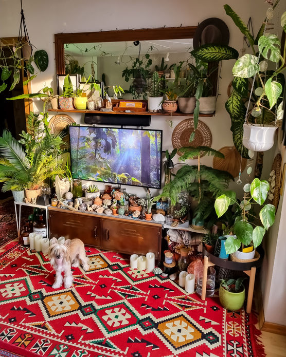 Bild von Munichjungle Bild von Munichjungle