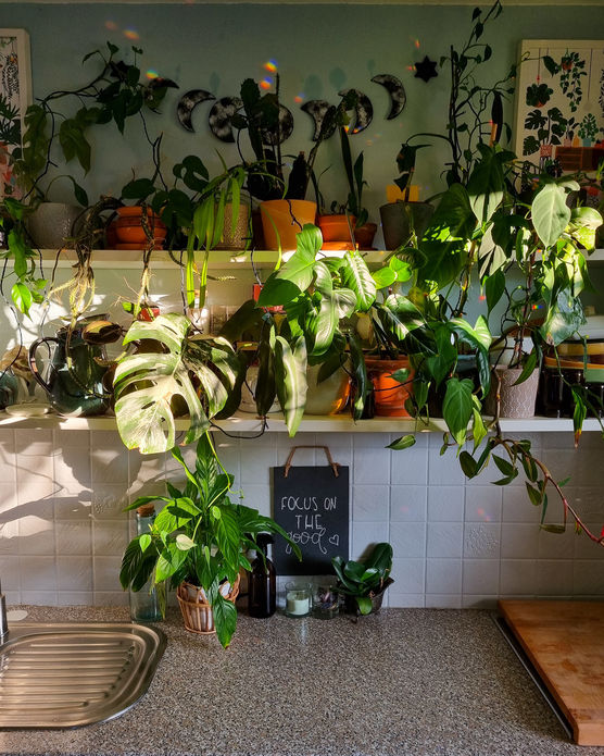 Bild von Munichjungle Bild von Munichjungle