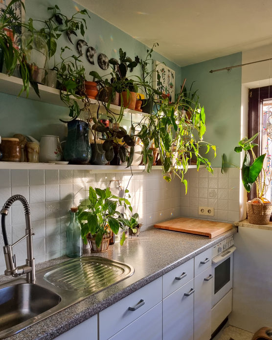 Bild von Munichjungle Bild von Munichjungle