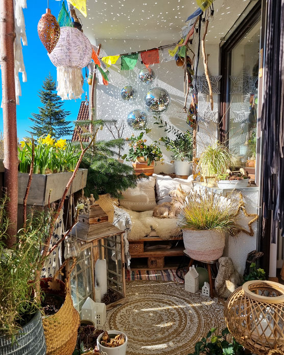 Bild von Munichjungle Bild von Munichjungle