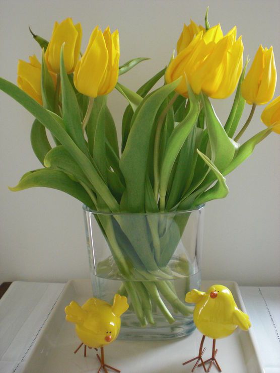 Heute kommt die Sonne... Heute kommt die Sonne...