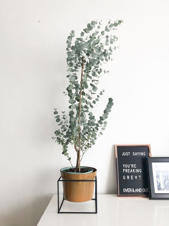 Bild von hellojulia Bild von hellojulia