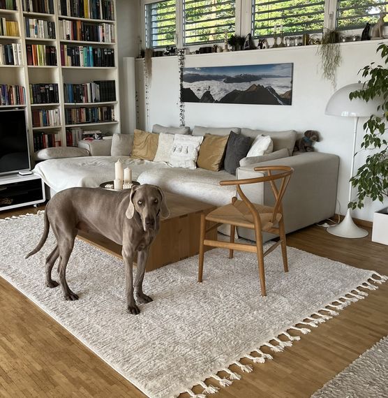 Bild von bacionero Bild von bacionero