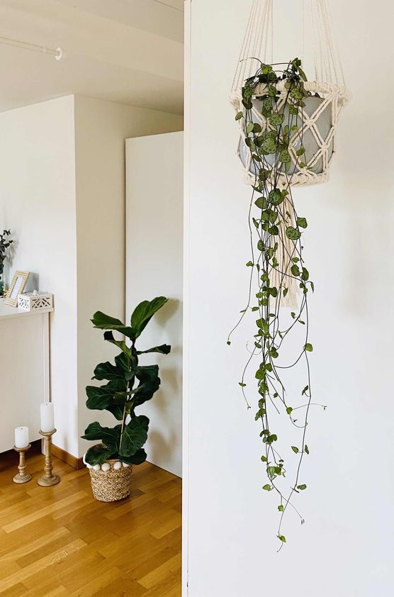 Bild von allyloves Bild von allyloves