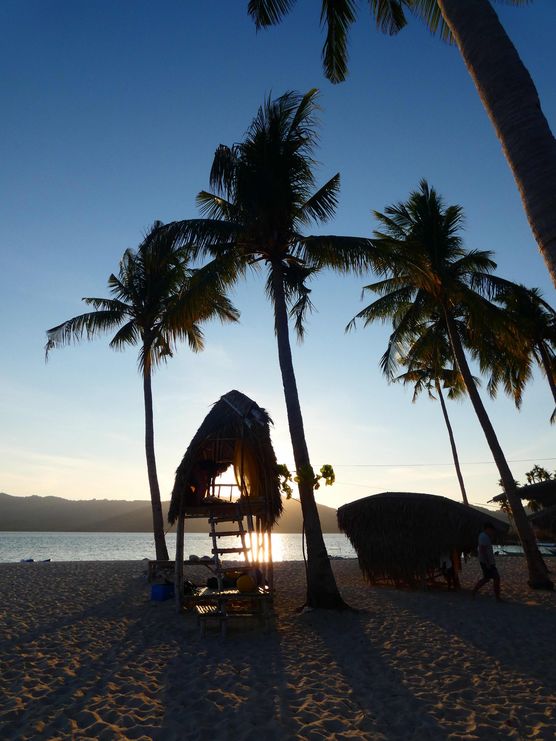 Bild von allyloves Bild von allyloves