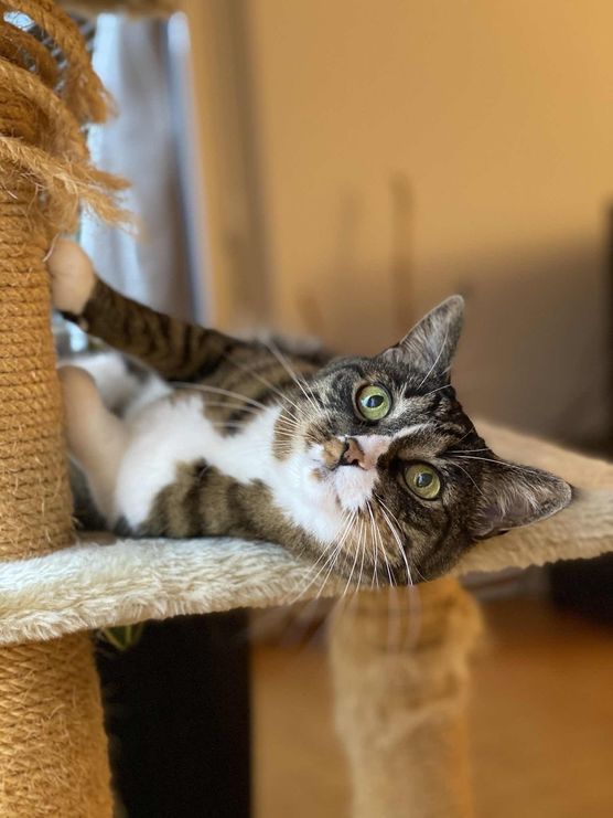 Bild von allyloves Bild von allyloves