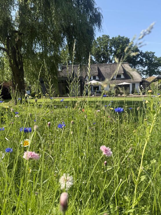 Bild von Reflected.Home Bild von Reflected.Home