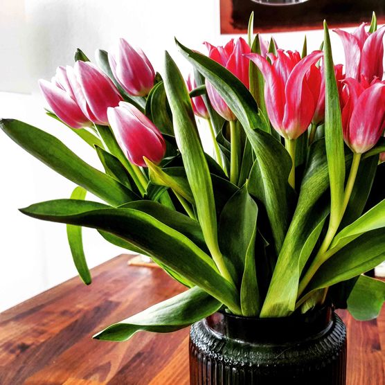 Bild von Jasmiiiinkaa Bild von Jasmiiiinkaa