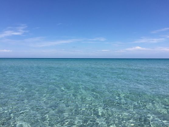 Fotofrage:... Sardinien Fotofrage:... Sardinien