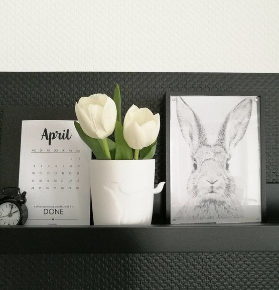 ... auf dem Regal ... ... auf dem Regal ...