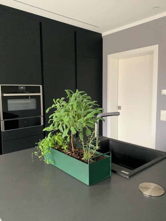 Bild von SWagner Bild von SWagner