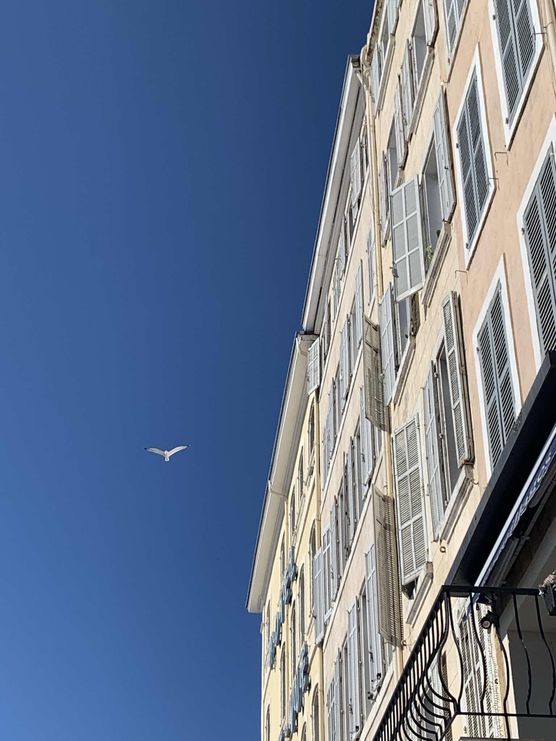 Bild von SWagner Bild von SWagner