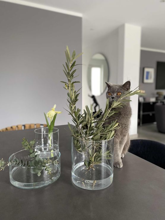 Bild von SWagner Bild von SWagner