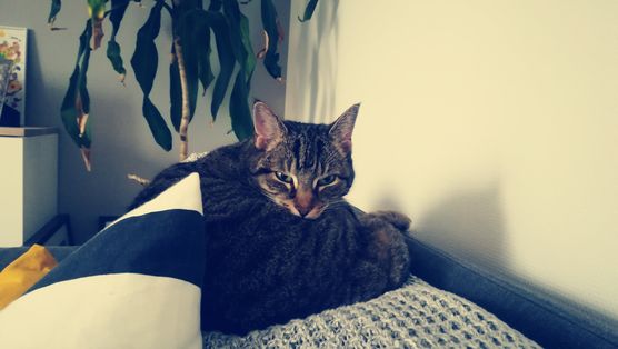 Seit 14 Jahren sind Seit 14 Jahren sind