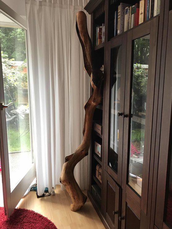 Bild von Valentina Sullivan Bild von Valentina Sullivan