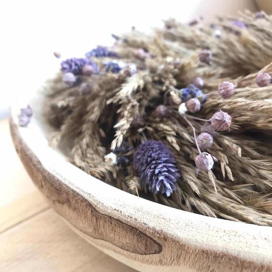 Bild von Valentina Sullivan Bild von Valentina Sullivan