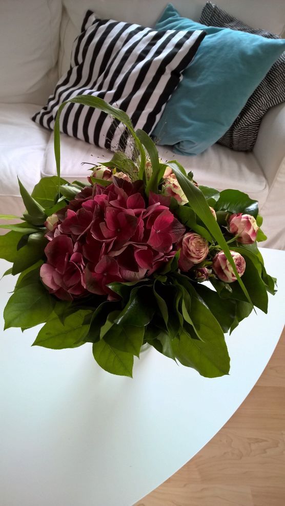 Nichts geht über schöne Blumen - Hortensienliebe Nichts geht über schöne Blumen - Hortensienliebe