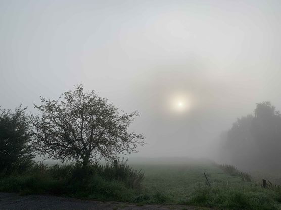 Bild von FrauSchulze Bild von FrauSchulze