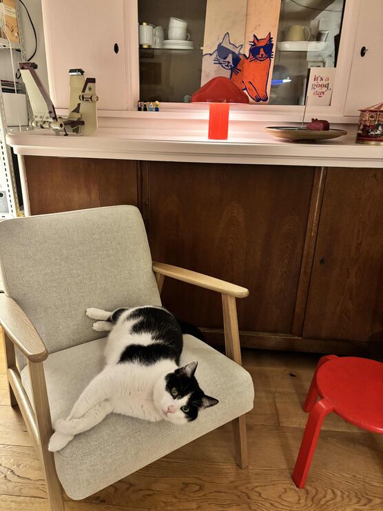 Bild von FrauSchulze Bild von FrauSchulze