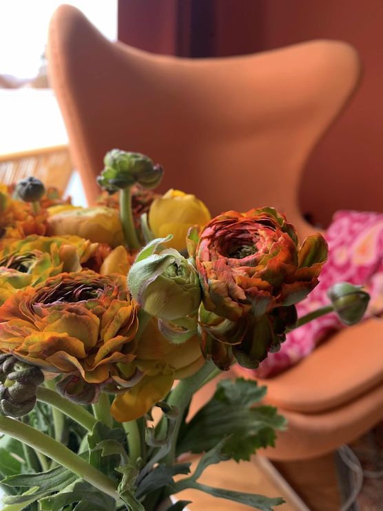 Bild von Lola79 Bild von Lola79