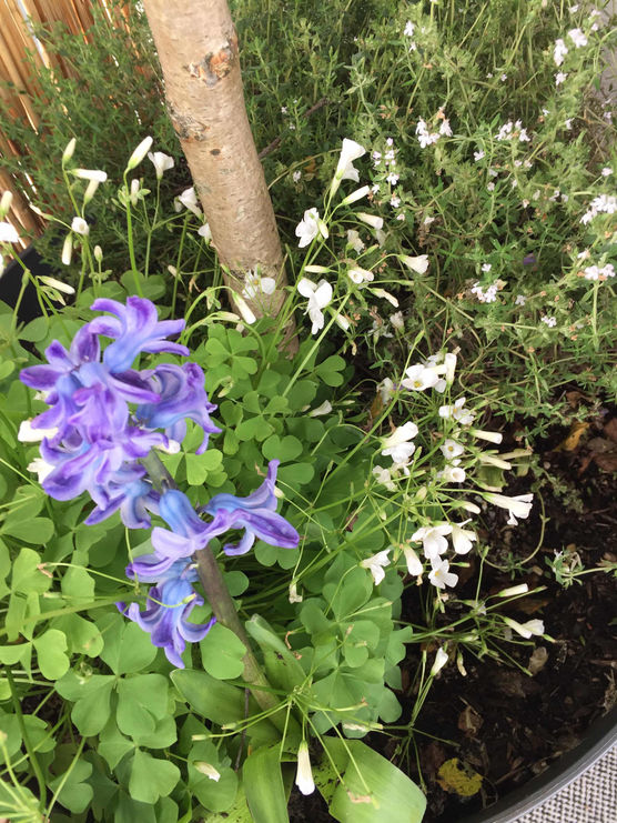 Bild von Christiane58 Bild von Christiane58