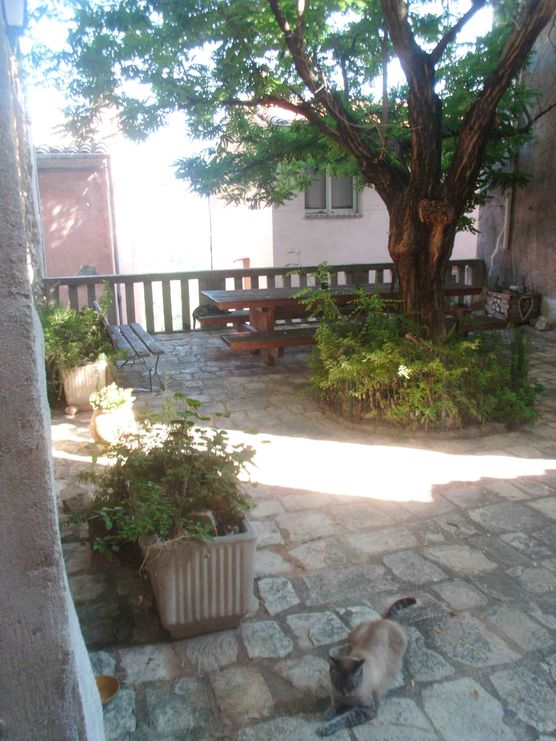 Bild von Katita Bild von Katita