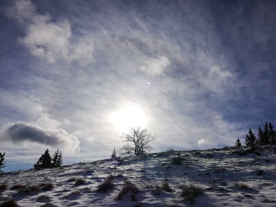 Die Ruhe in den Die Ruhe in den