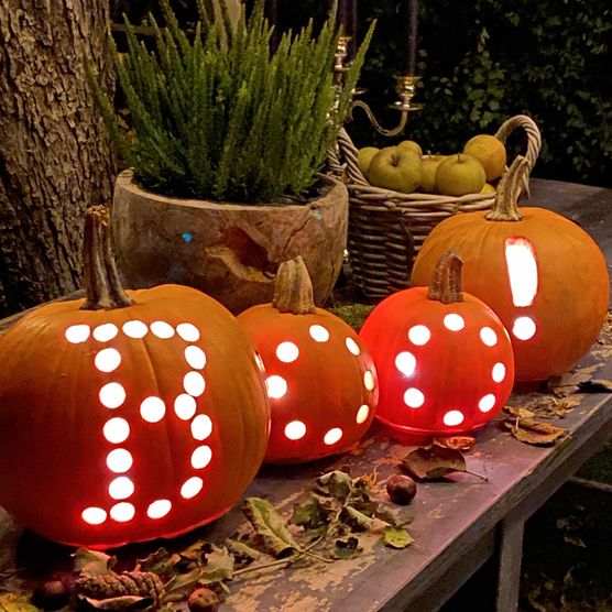 Bild von myherzenshaus Bild von myherzenshaus