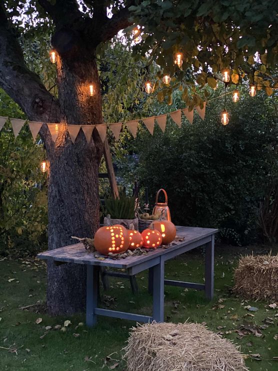 Bild von myherzenshaus Bild von myherzenshaus