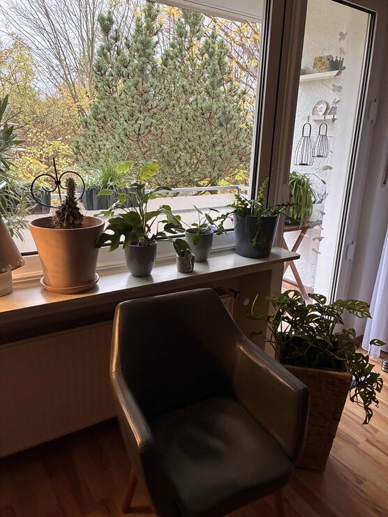 Bild von carolchen Bild von carolchen