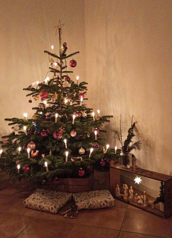 Bild von timaresa Bild von timaresa