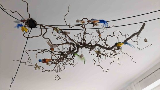 Bild von timaresa Bild von timaresa