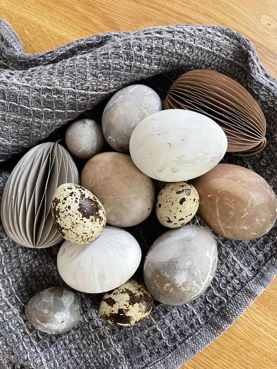 Bild von Sternflocke Bild von Sternflocke