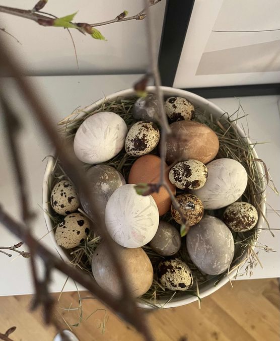 Bild von Sternflocke Bild von Sternflocke