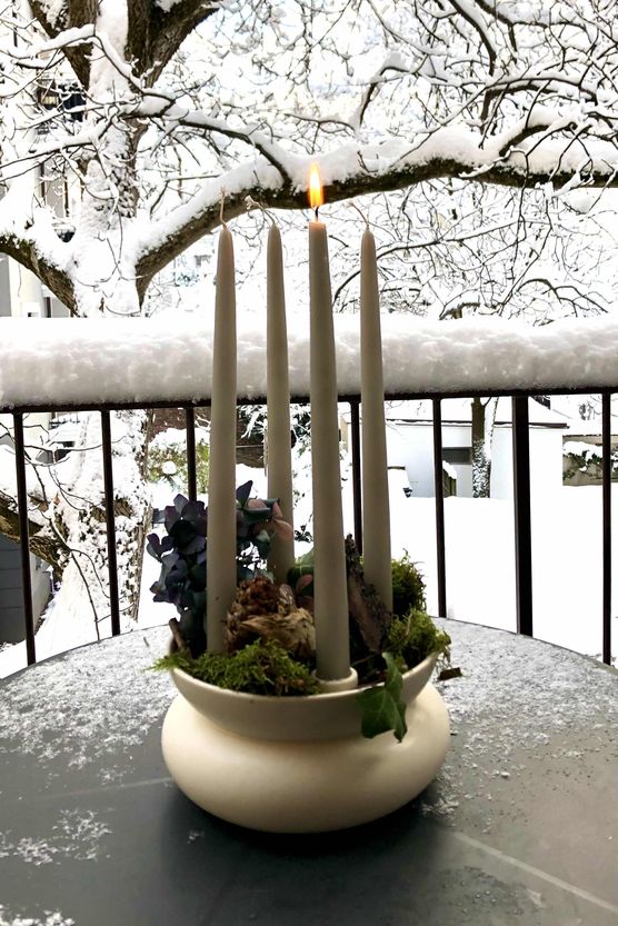 Bild von Sternflocke Bild von Sternflocke