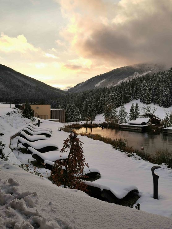 Bild von Sunny1 Bild von Sunny1