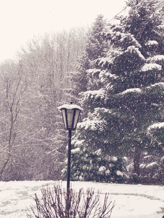 Bild von Sunny1 Bild von Sunny1