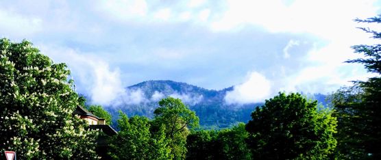 Bild von la Bonette Bild von la Bonette