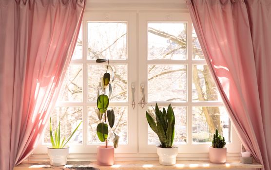 Bild von dat_olle_hus Bild von dat_olle_hus