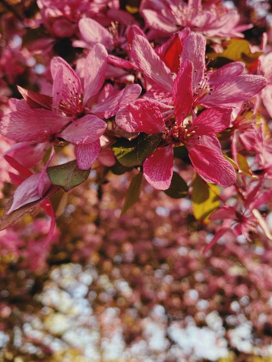 Bild von dat_olle_hus Bild von dat_olle_hus