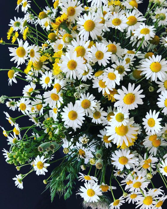 Bild von Dee11 Bild von Dee11