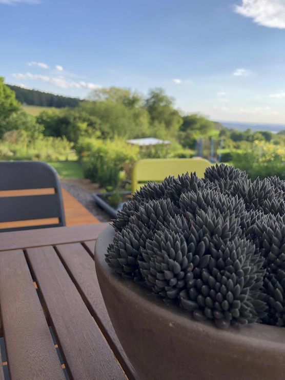 Bild von Dee11 Bild von Dee11