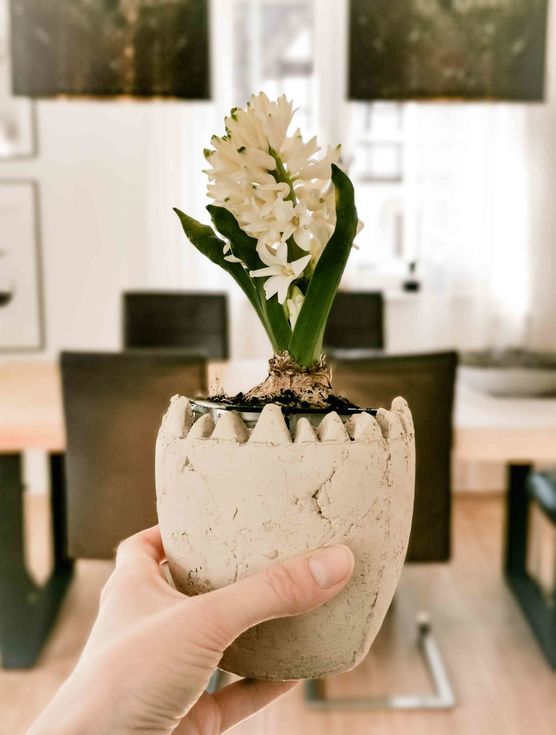 Bild von stein.haus.liebe Bild von stein.haus.liebe