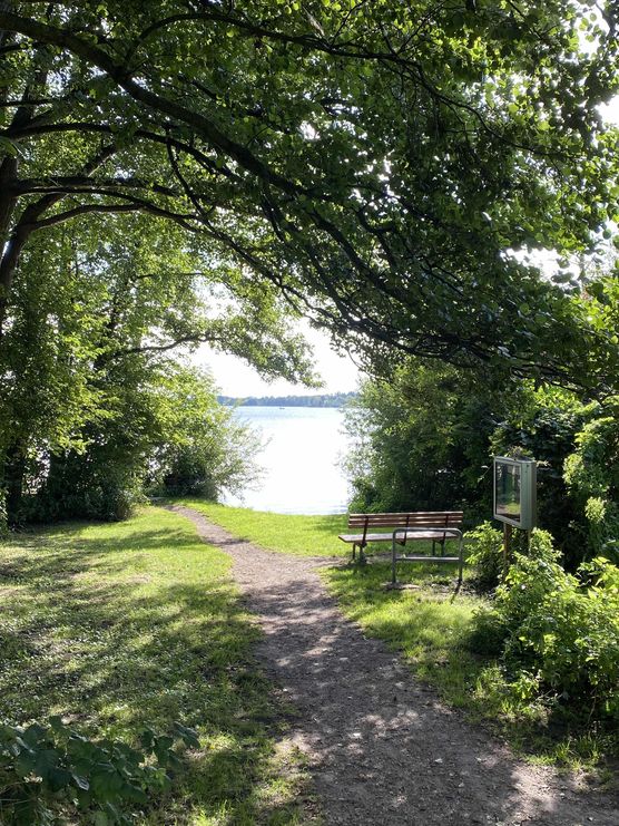 Bild von Katinka_Rübensüß Bild von Katinka_Rübensüß