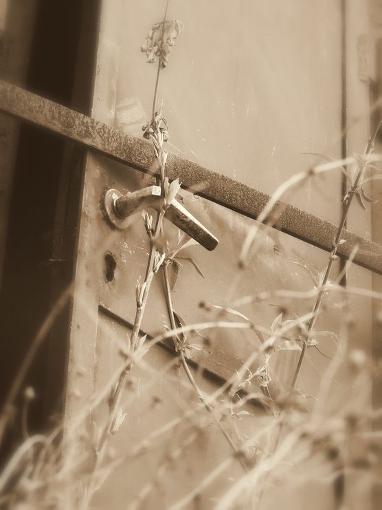 hereinspaziert hereinspaziert